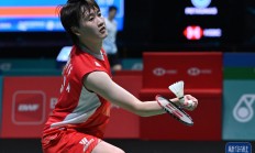 米兰捕鱼-包含印尼队翻盘马来西亚队，陈雨菲状态火热的词条