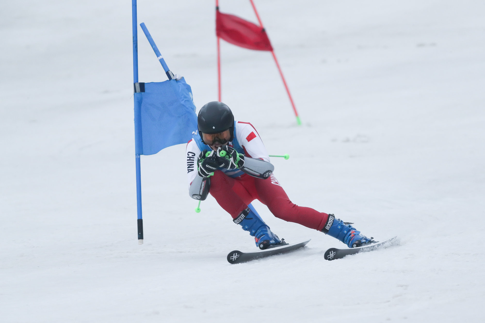 包含黑龙江队主场战胜山西队，球员状态火热的词条