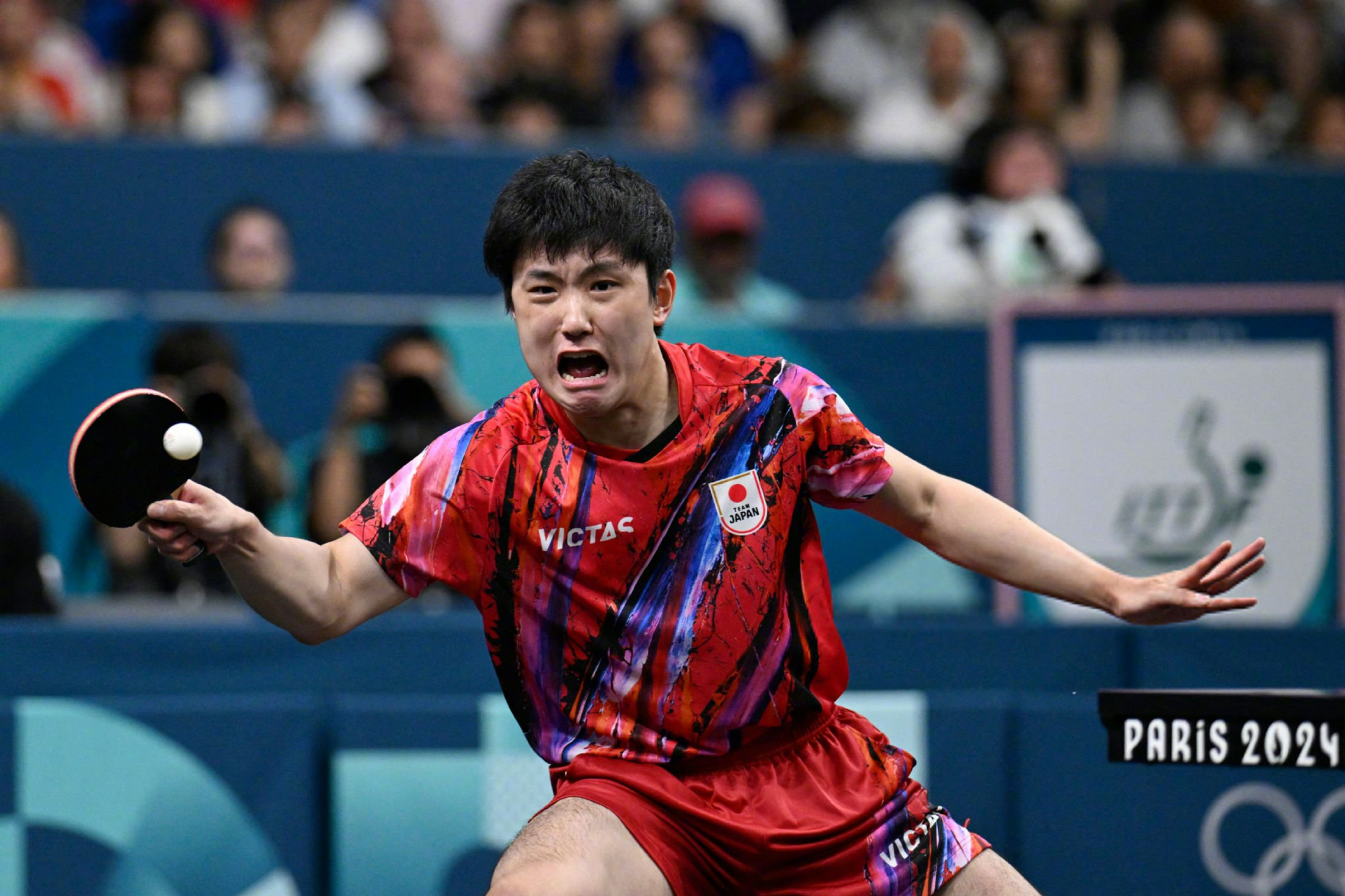 包含瑞典队轻取中国队，张本智和点燃赛场的词条