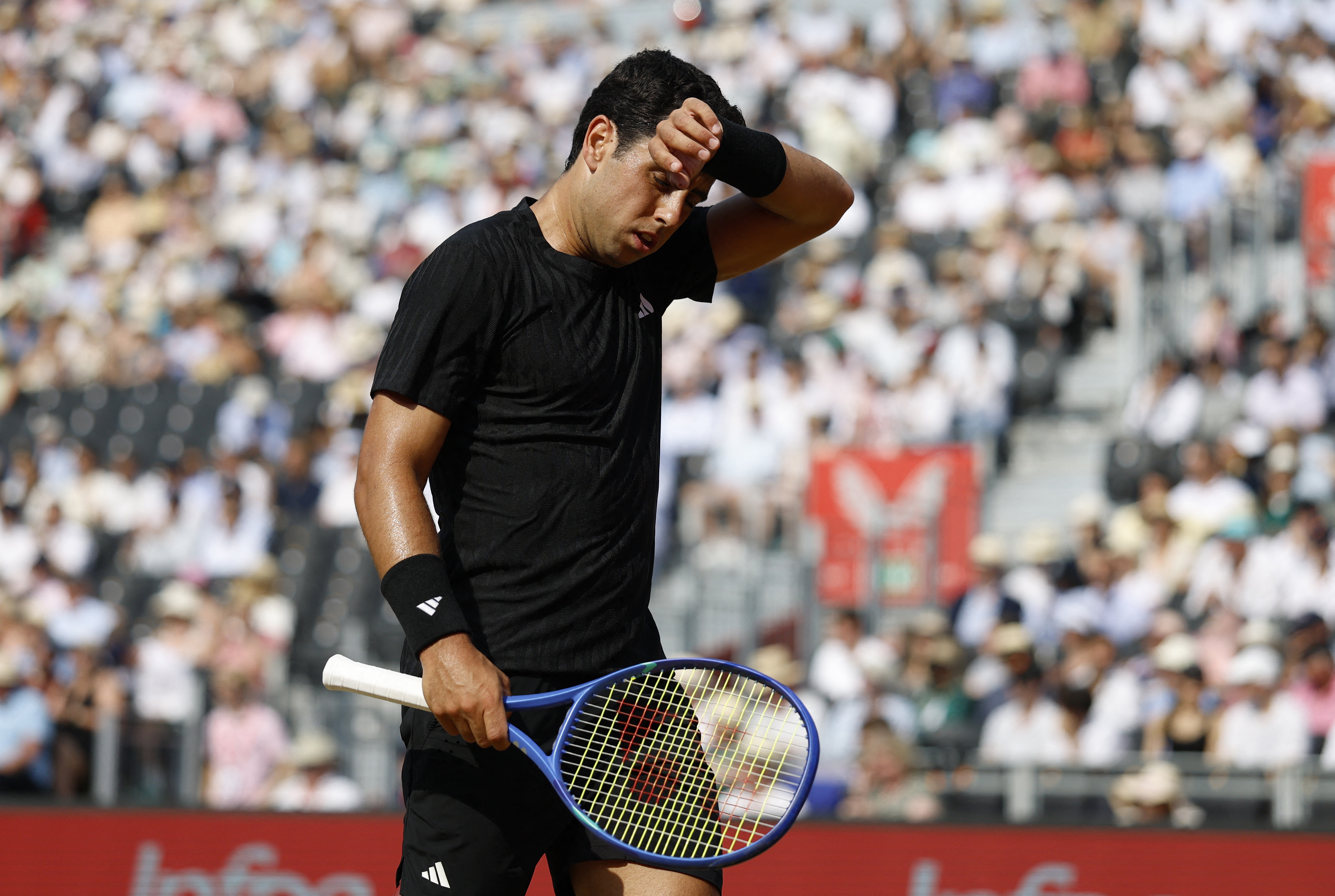 澳网逆转戴维斯杯，阿尔卡拉斯统治全场的简单介绍