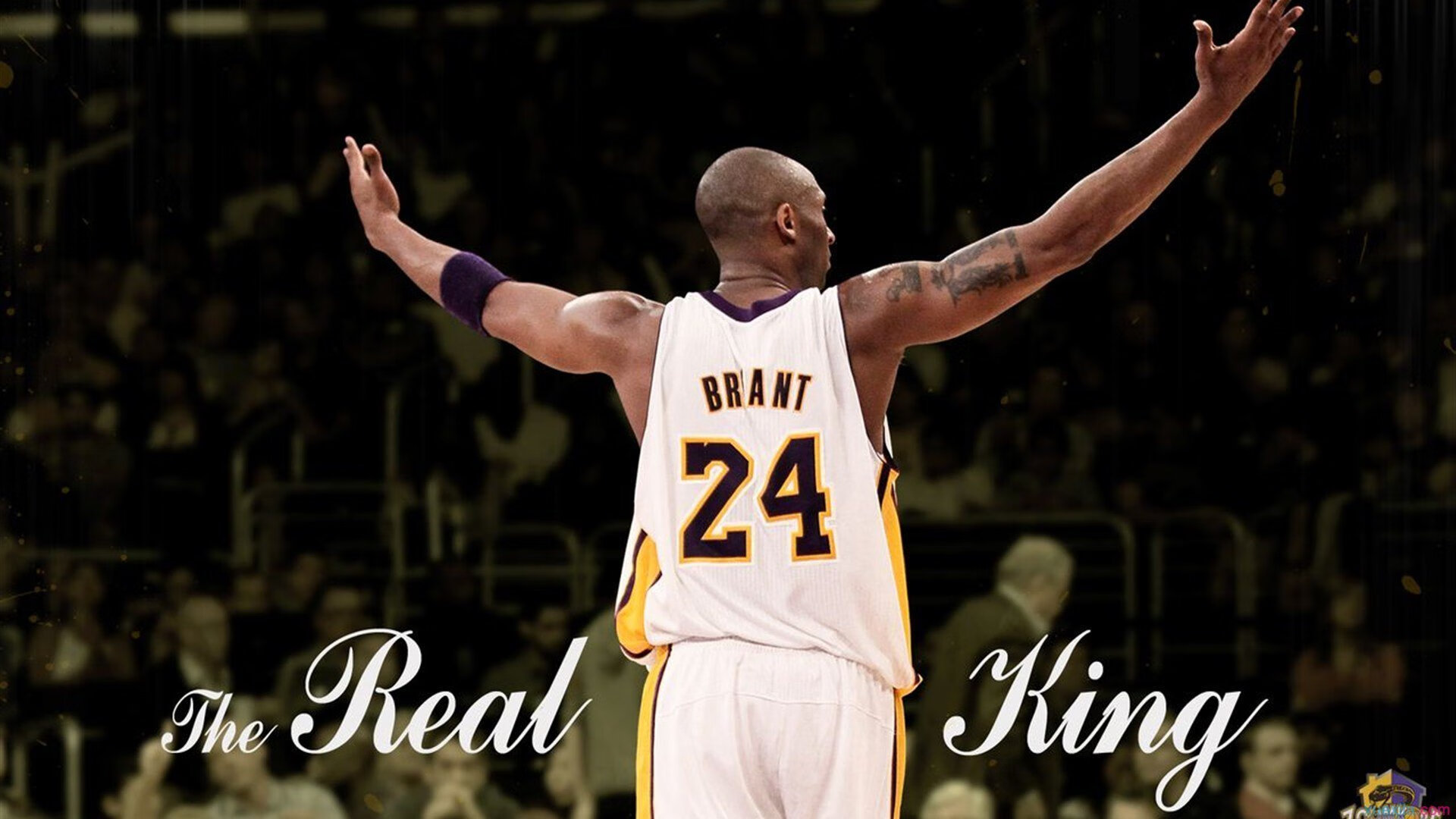 拉沃尔杯鏖战美网,西西帕斯的高光时刻与网球精神的传承